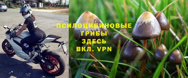 СК Алексеевка