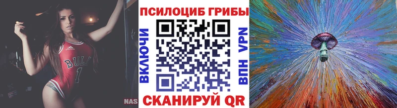 Псилоцибиновые грибы Cubensis  где купить наркоту  Ардатов 
